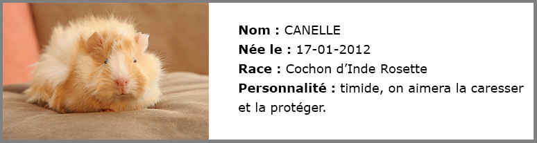 Canelle_Bernadette_et_Cie