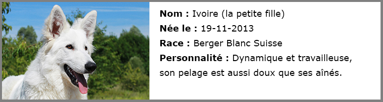 CarteidentitéIvoire