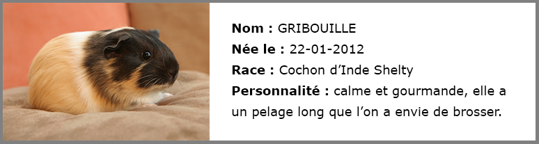 Gribouille_Bernadette_et_Cie