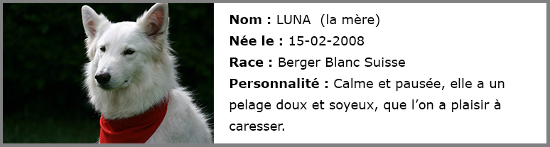 Luna_Bernadette_et_Cie